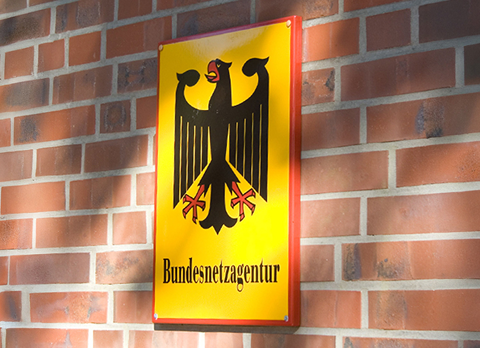 German Federal Network Agency — Government case study